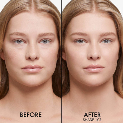DIOR Backstage Face & Body Foundation